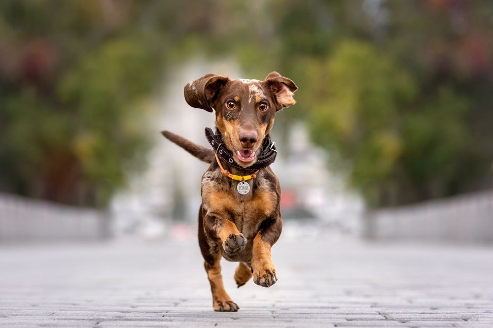 Photograph by Katerina Kutova