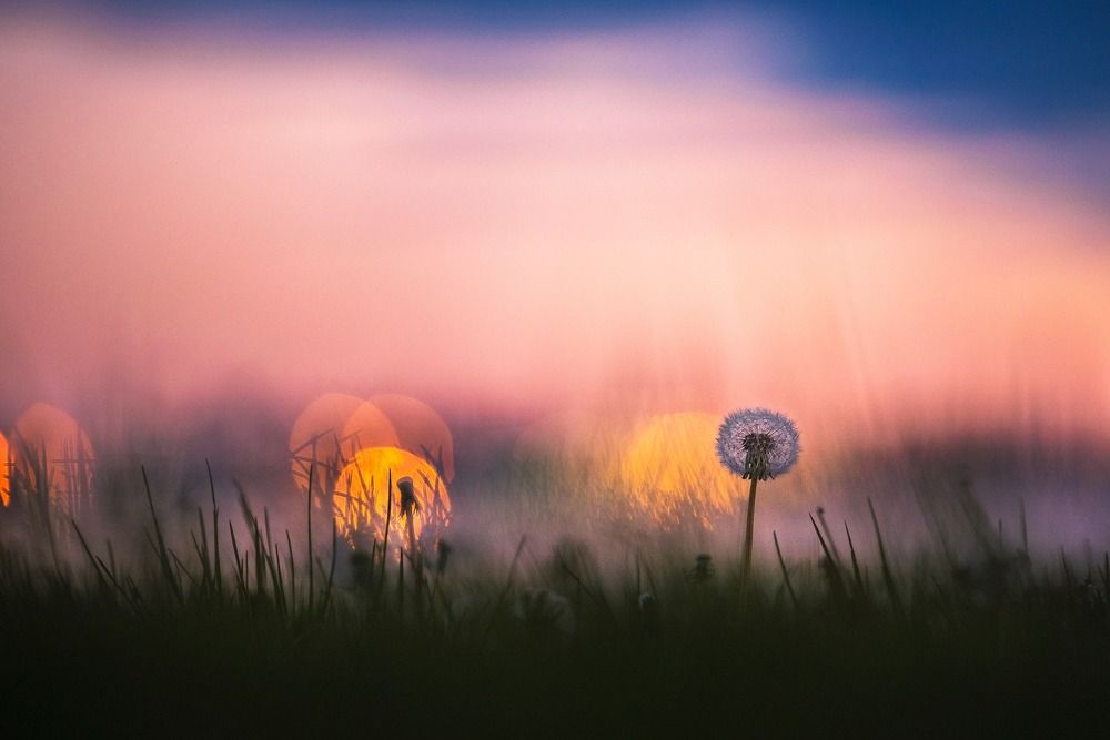 Photograph by Karina Saarestik