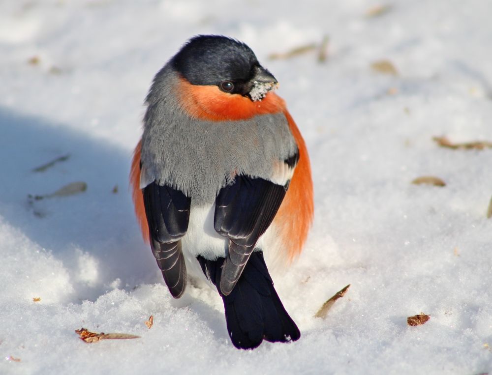 Photograph by Galina Tsmyg