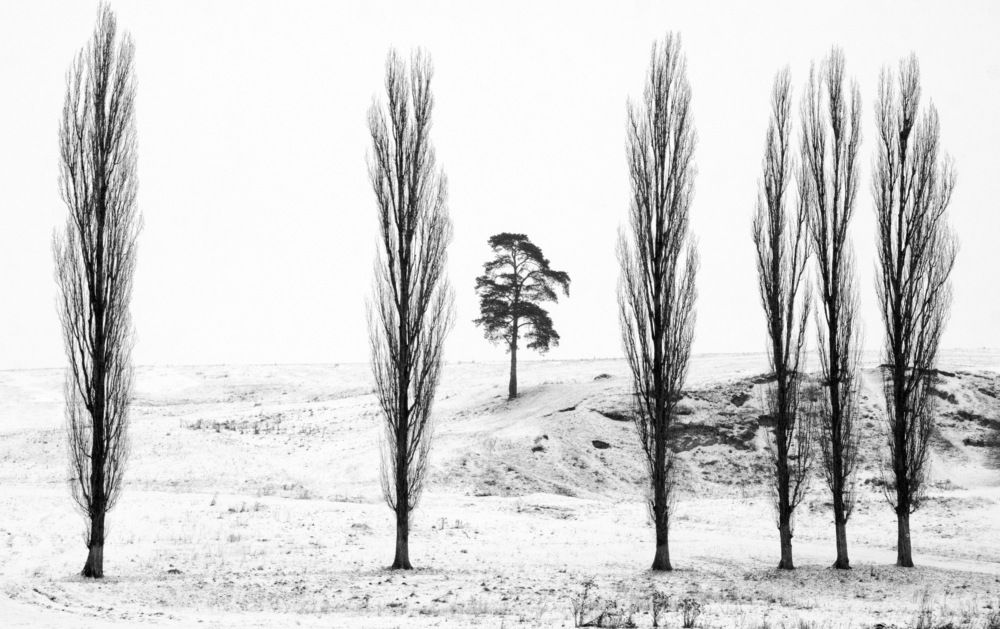 Photograph by Toth Csongor