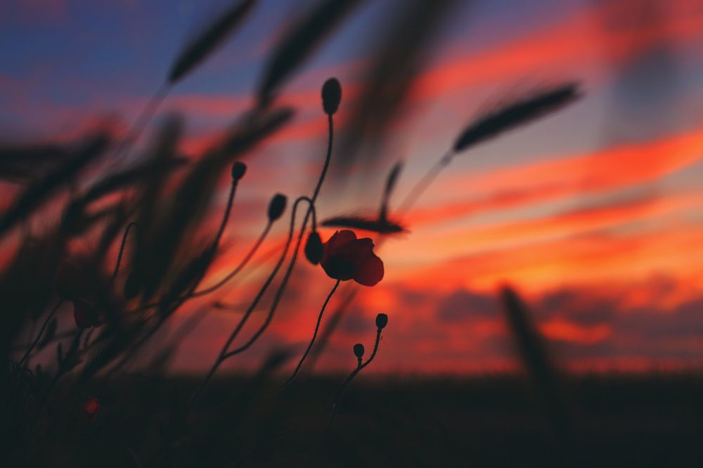 Photograph by Роман Микрюков