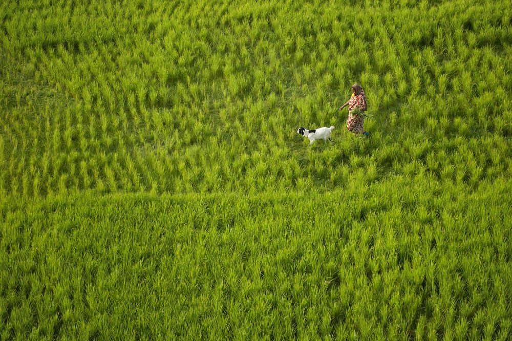 Photograph by Prince Paul Joy