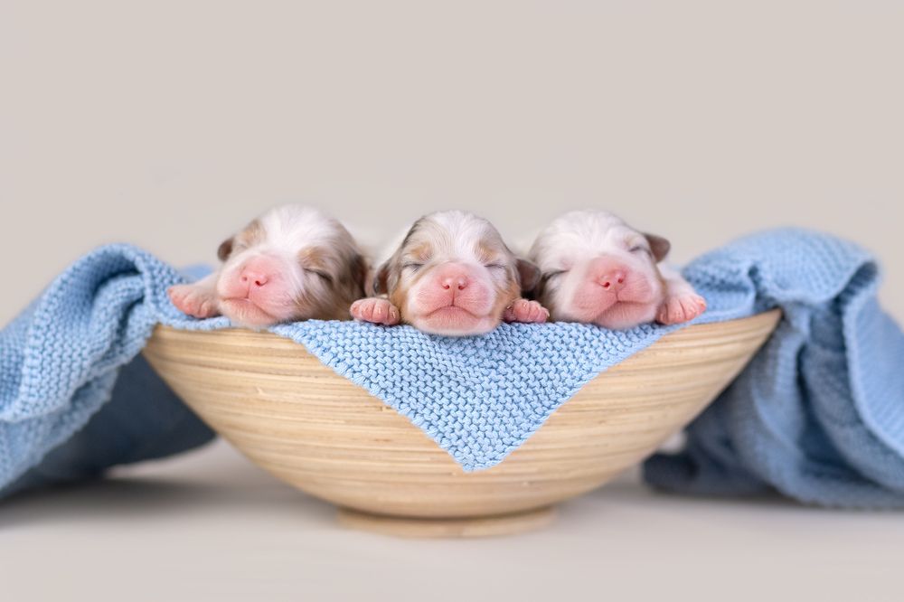 Photograph by Katerina Kutova