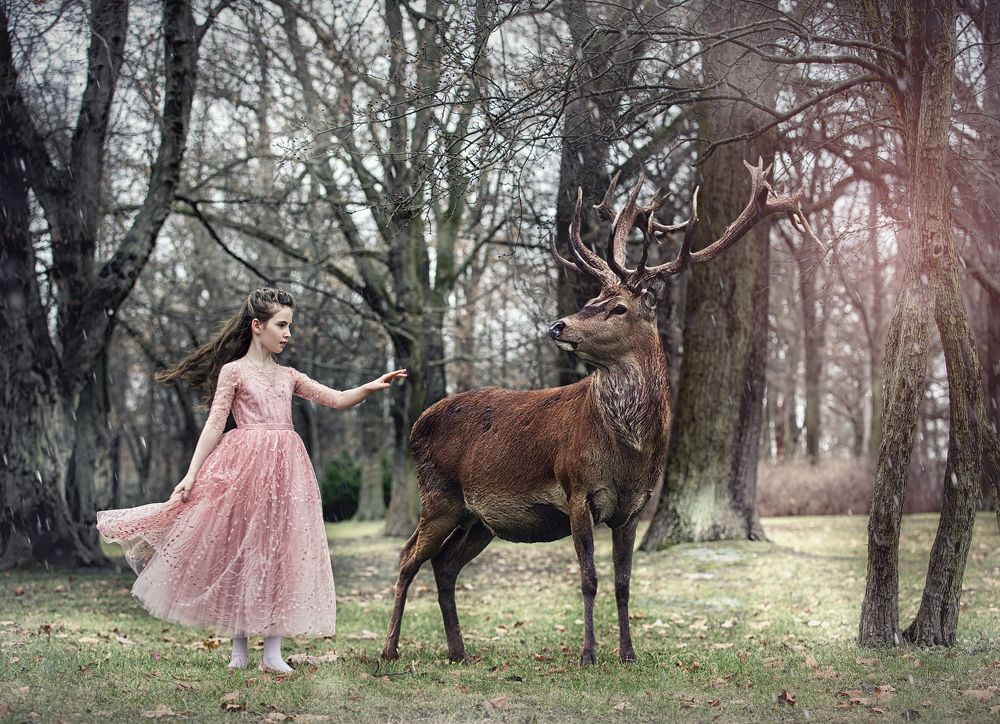 Photograph by Julia Stuckert