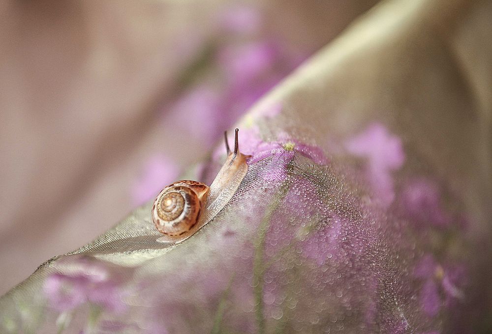 Photograph by Светлана Кавказская