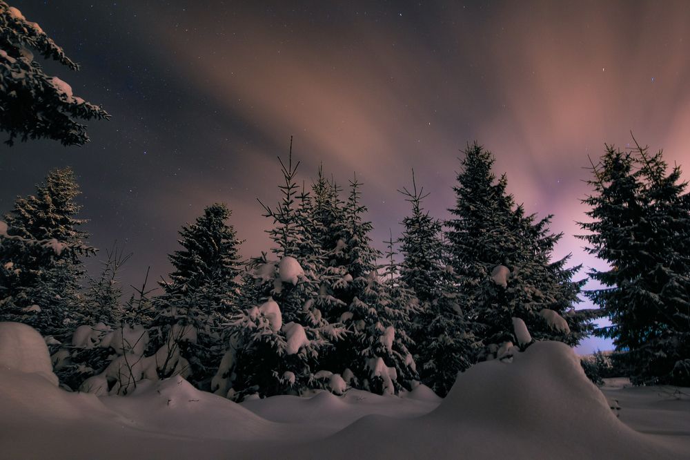 Photograph by Роман Микрюков