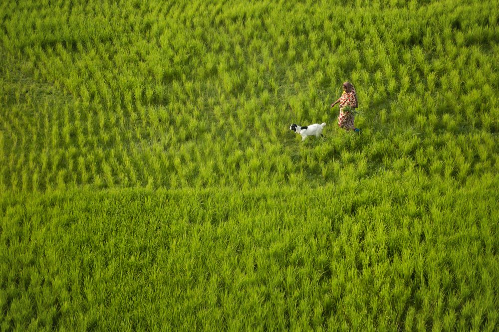 Photograph by Prince Paul Joy