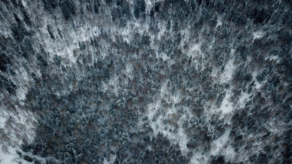 Photograph by Oleg Polyakov