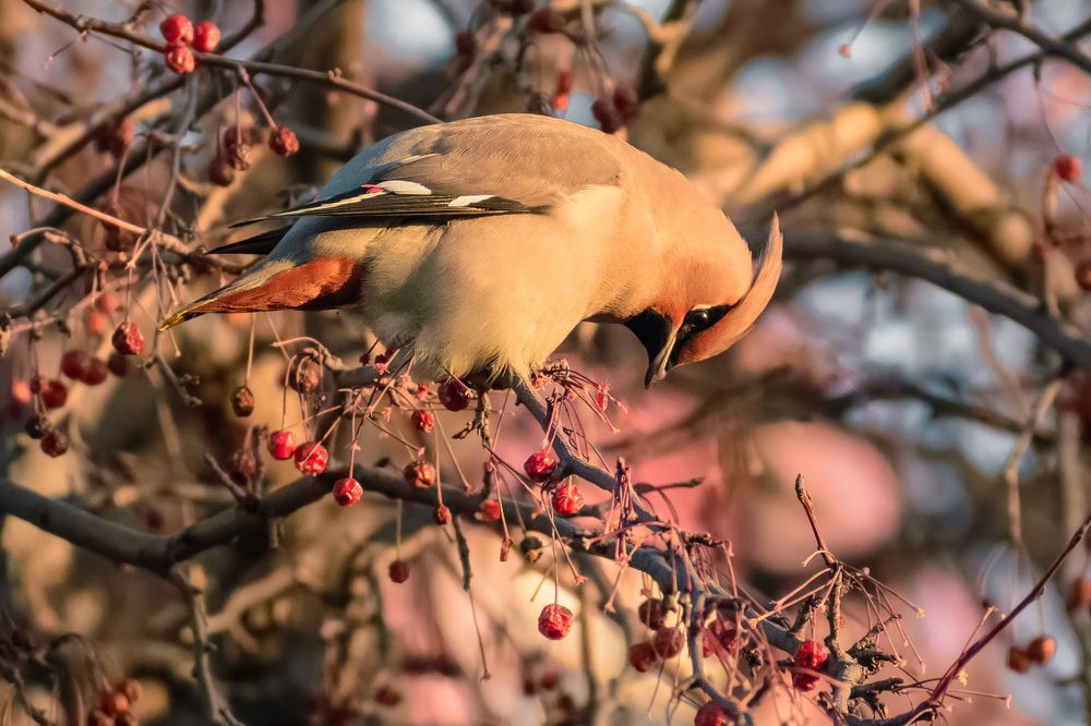 Photograph by Дмитрий Огольцов
