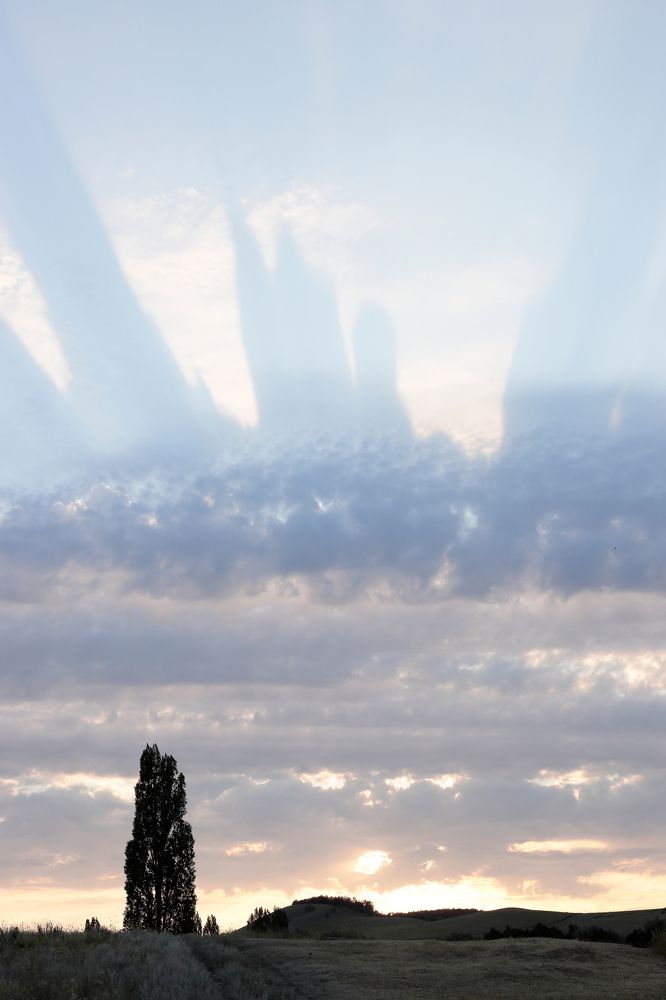 Фотография автора Алексей Попов