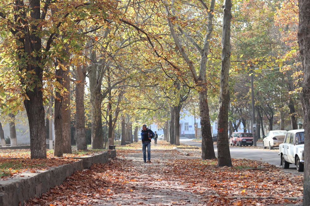 Photograph by Дмитро Філоненко