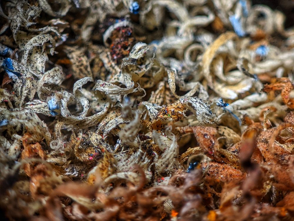 Photograph by Денис Пономарёв