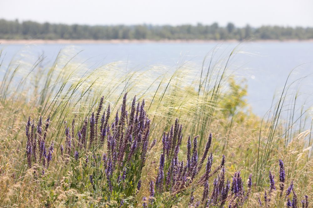 Фотография автора Алексей Попов