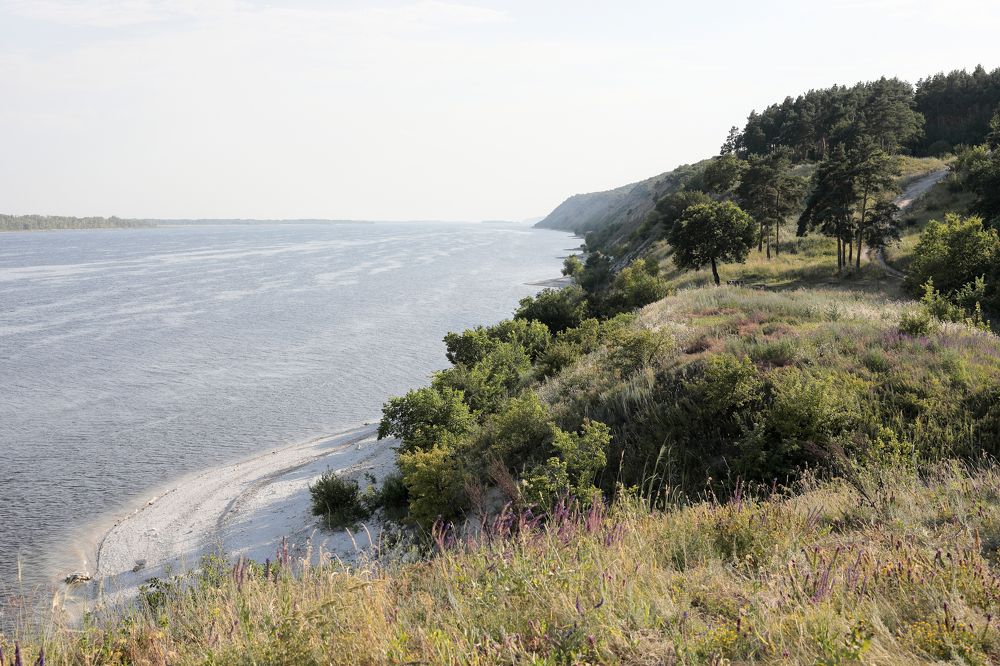 Фотография автора Алексей Попов