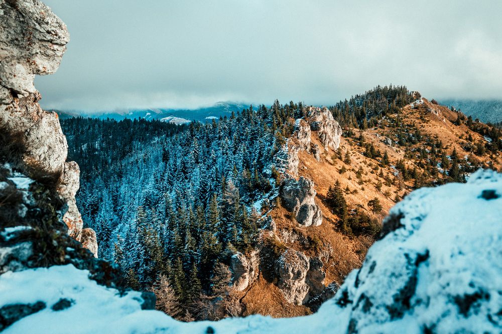 Photograph by Tomas Feco