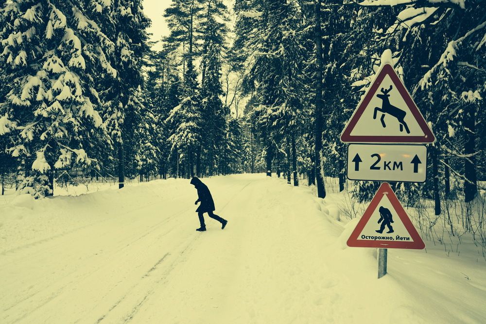 Photograph by Илья Пономарев