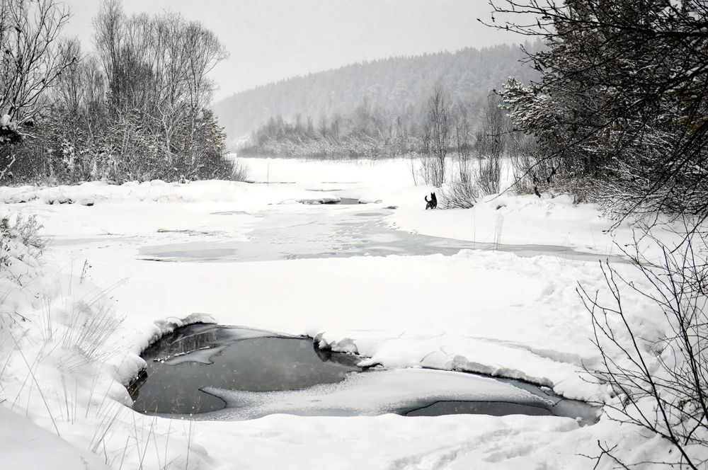 Photograph by Nadezhda