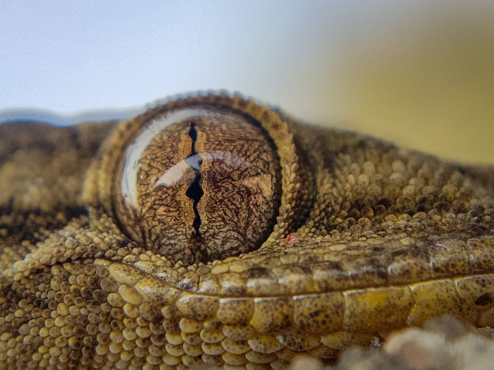 Photograph by Suraj kr Ghosh
