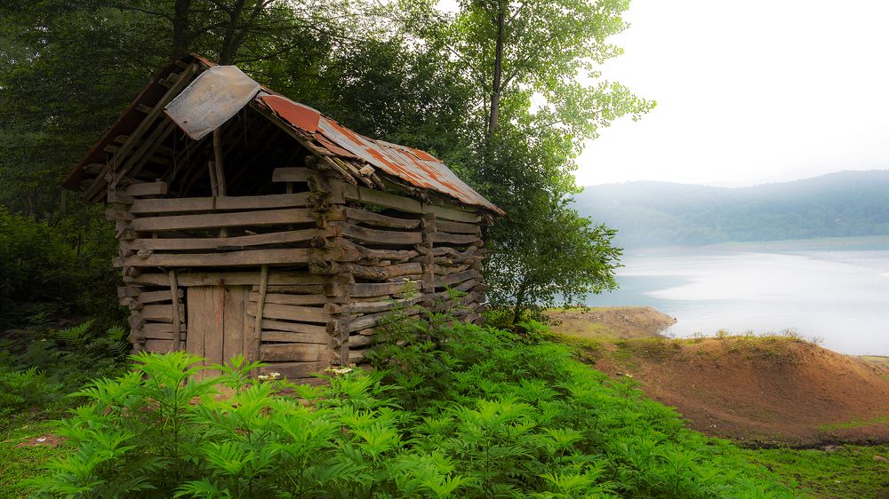 Photograph by Mohammad Esmaeili