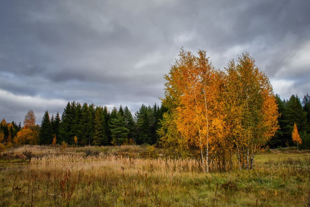 Очей очарованье...