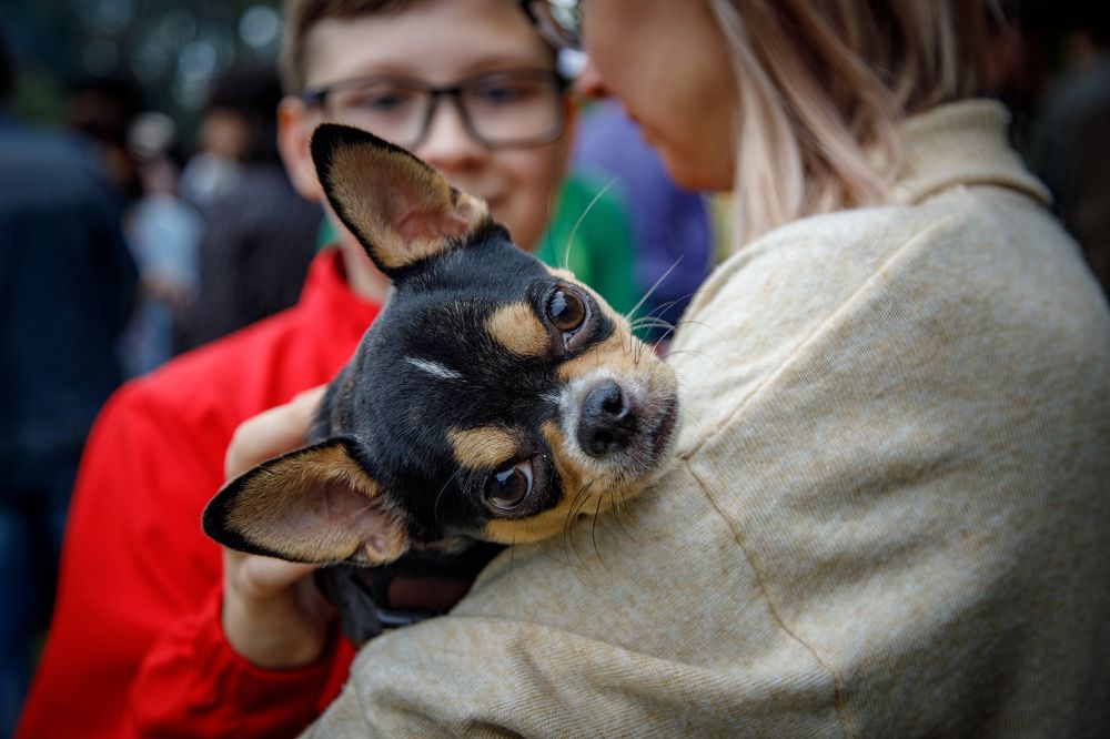А вы тоже охотник?