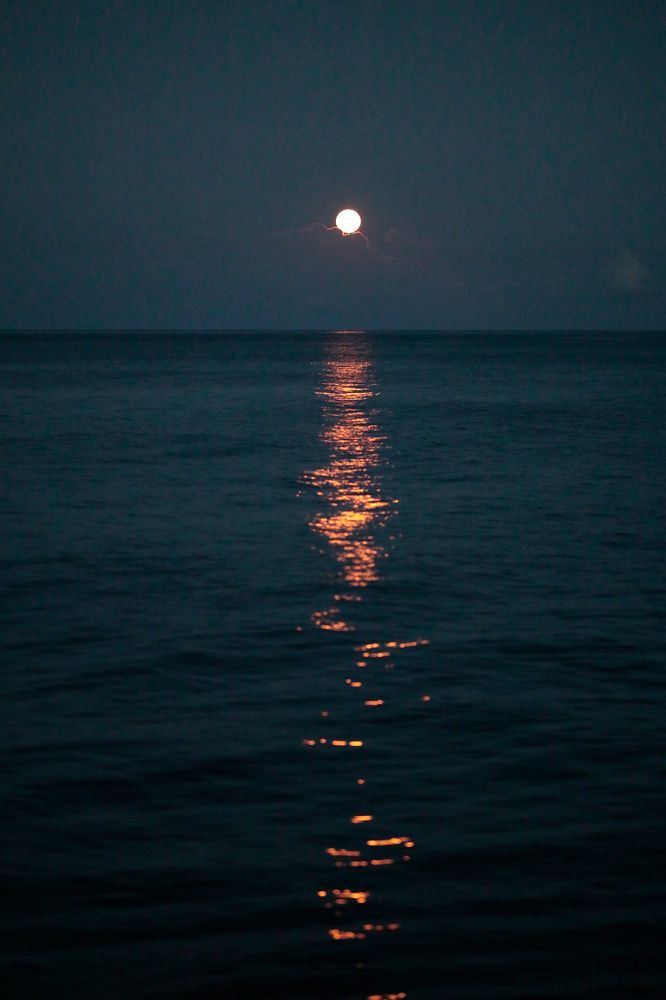 Фотография автора Алексей Попов