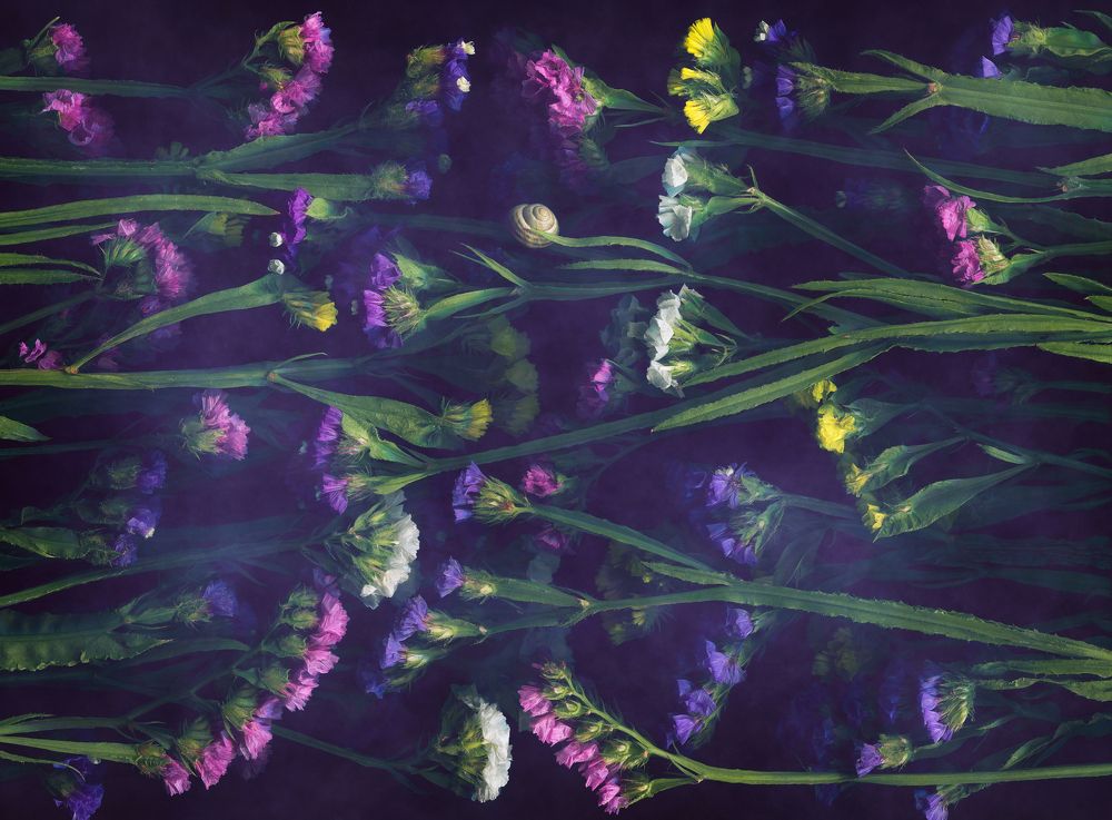 Photograph by Ирина Туяхова