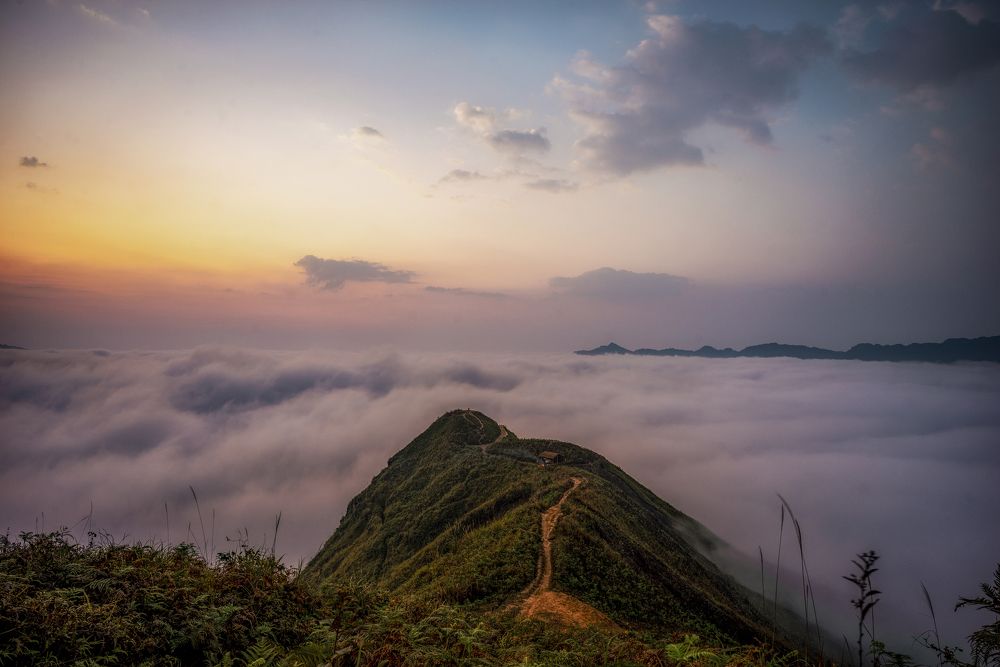 Photograph by Hoàng Hiếu