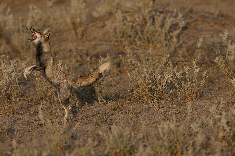 Photograph by Dhruv Singh Kohli
