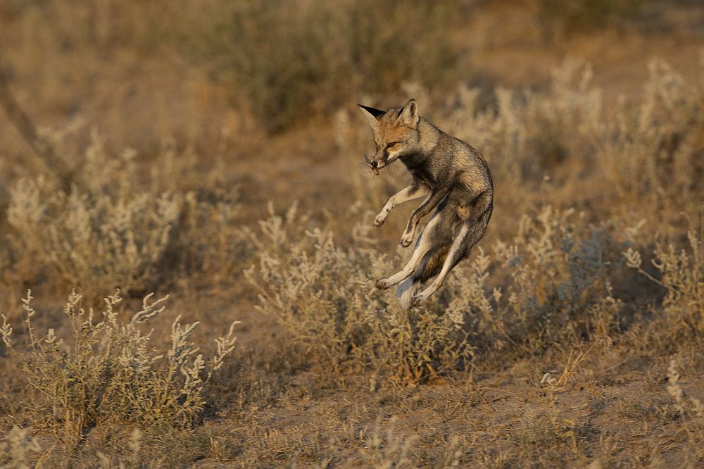 Photograph by Dhruv Singh Kohli