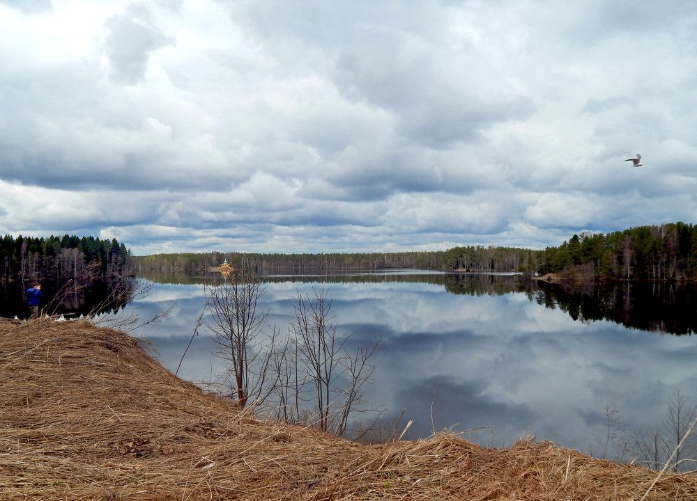 Photograph by Ольга Владимировна Мухина