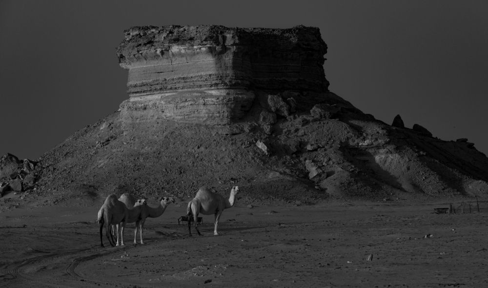 Photograph by Abbas ALhassoni