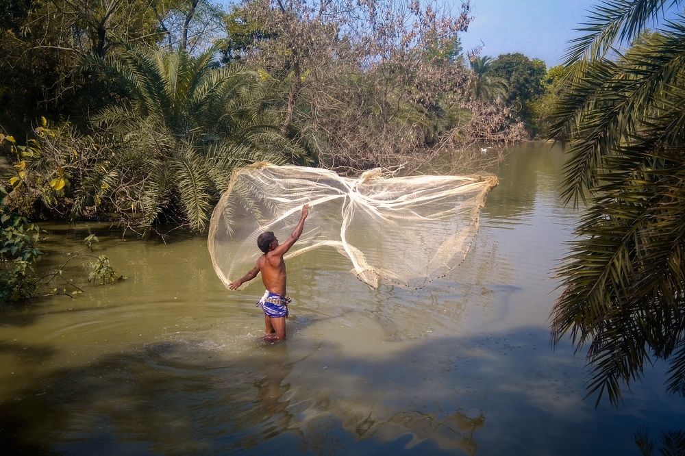 Фотография автора Tawkir Ahmad Shimul Md.