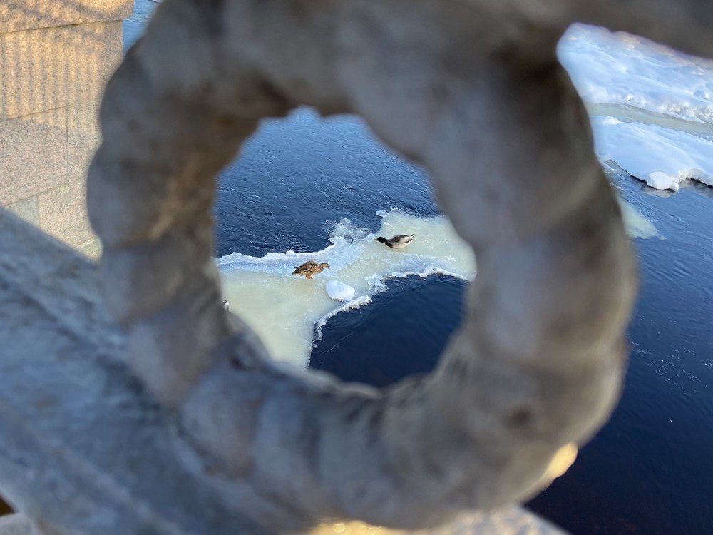 Photograph by Александра Морозова