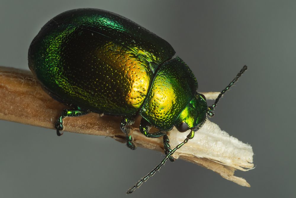 Photograph by Денис Ветренко