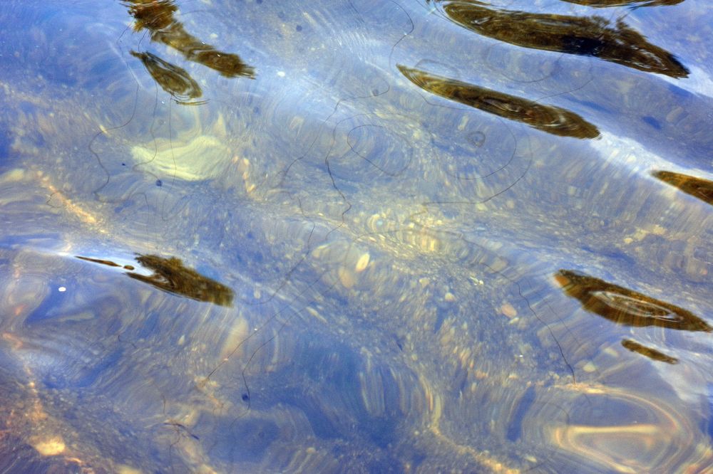 Фотография автора sujit kumar kumar