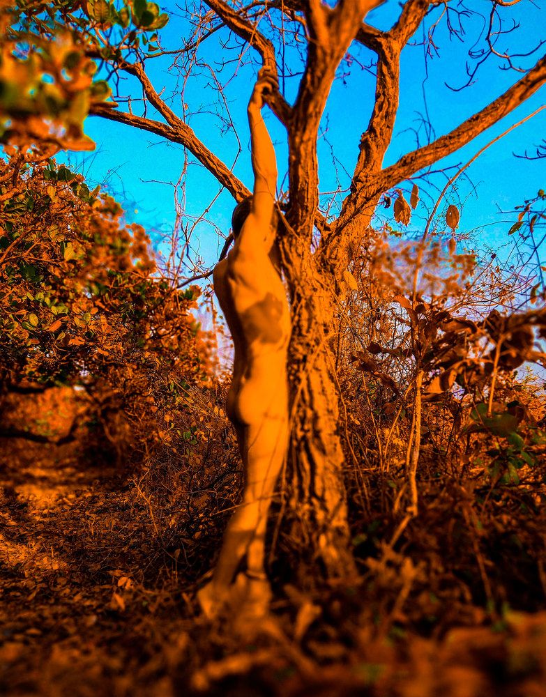 Photograph by Антон Романов