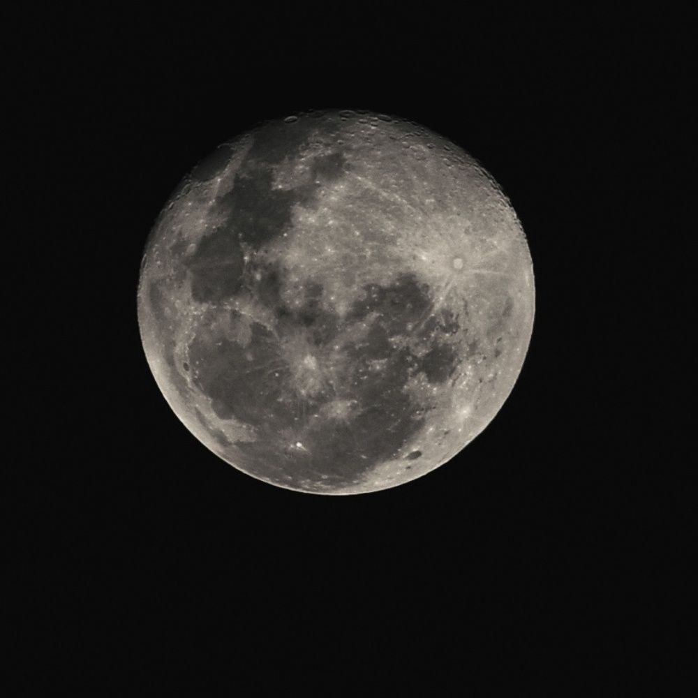 Photograph by Amarjit Mandal