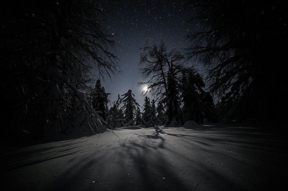 Photograph by Валерий Кучинский