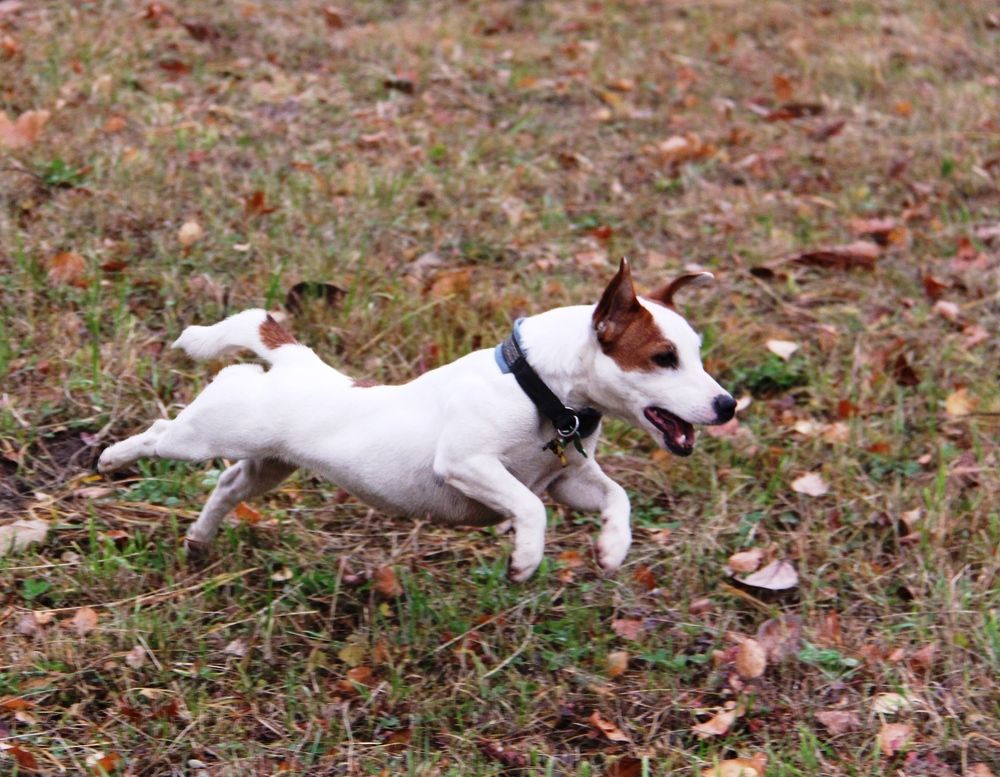 Photograph by Марина Адамковская