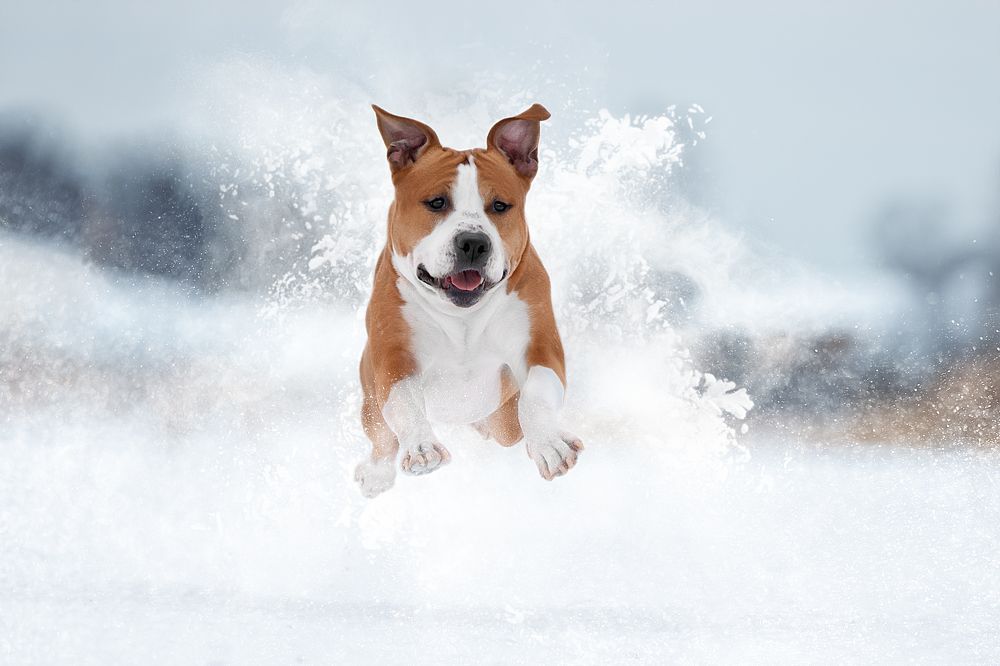 Photograph by Светлана Писарева