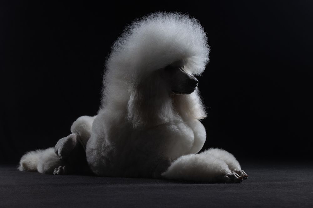 Photograph by Светлана Писарева