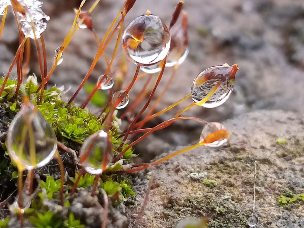 Photograph by Марина Толкодубова
