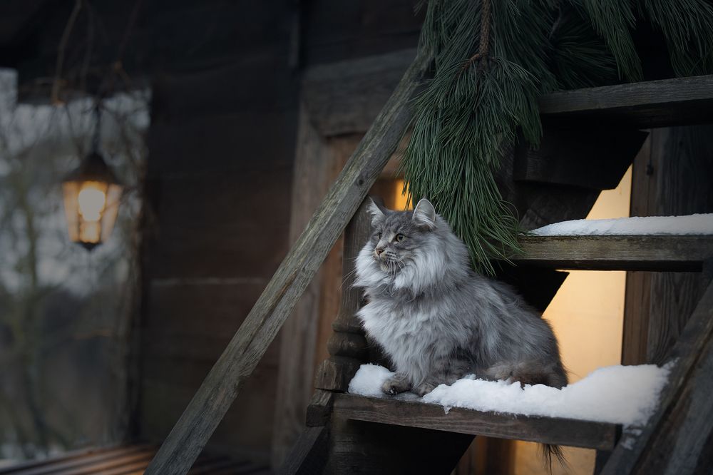 Photograph by Светлана Писарева