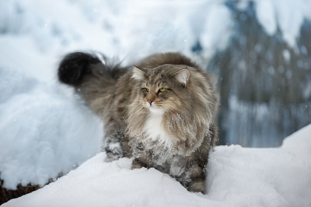 Photograph by Светлана Писарева