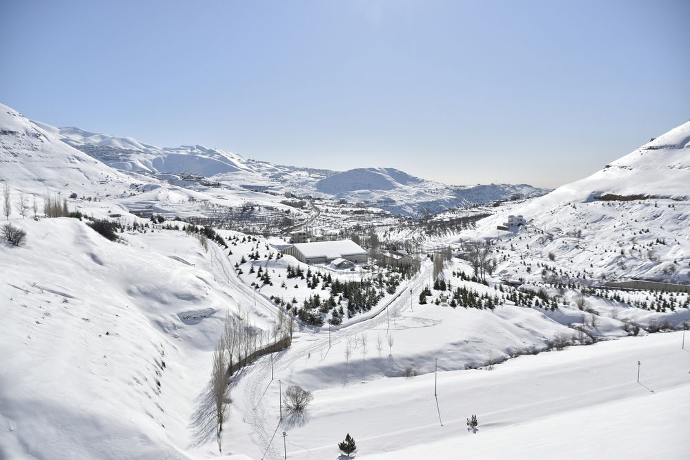 Photograph by Jessica Hajjar