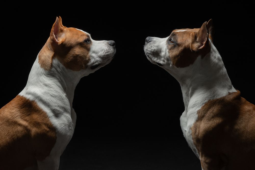 Photograph by Светлана Писарева