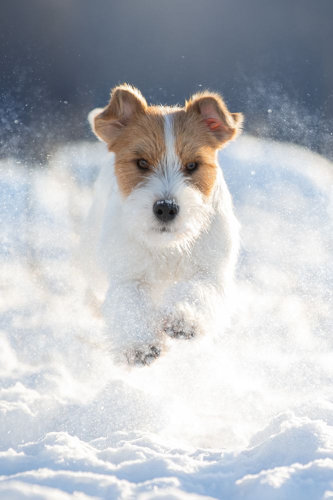 Photograph by Светлана Писарева