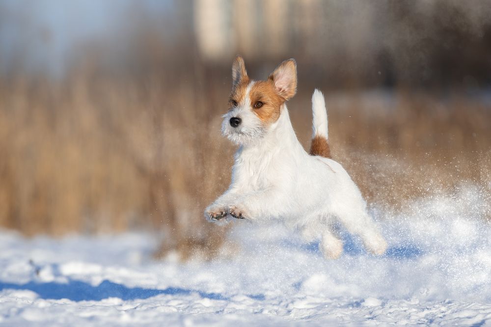 Photograph by Светлана Писарева