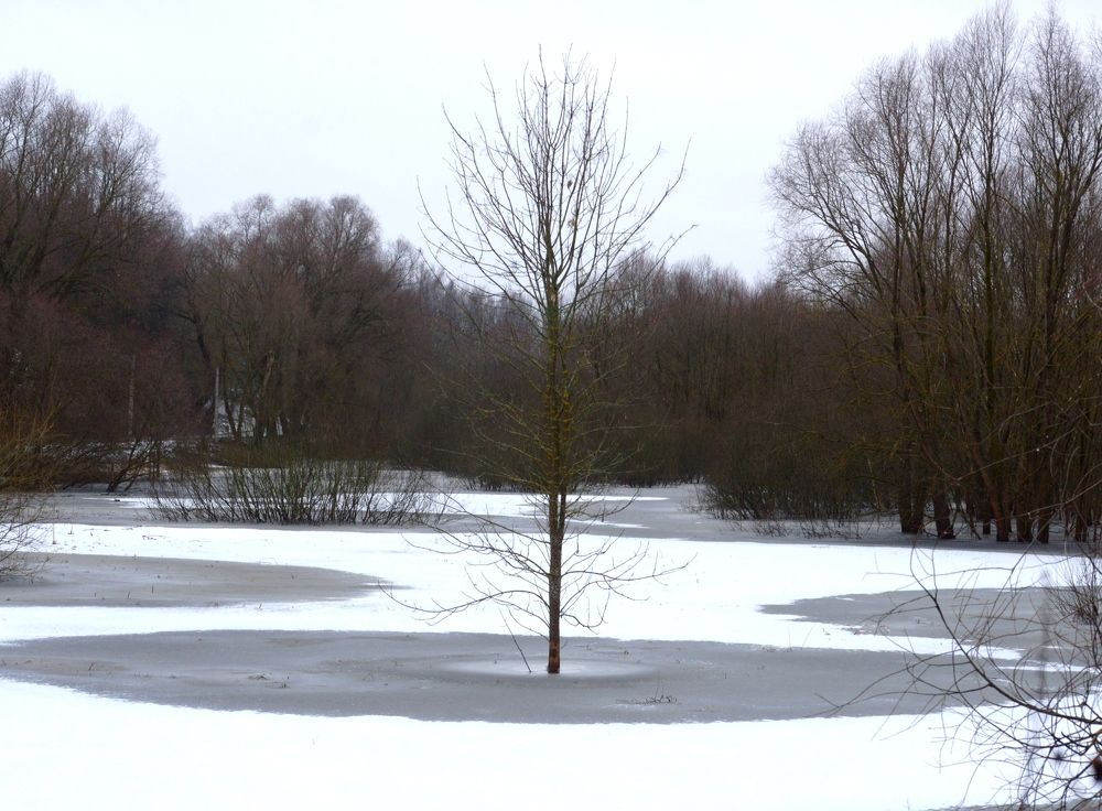 Photograph by Марина Адамковская